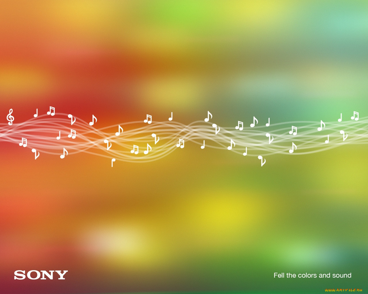 , sony